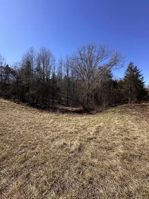 24 S 265 S Mohawk Rd, Midway, TN 37809 photo 32
