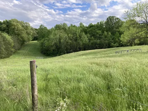 24 S 265 S Mohawk Rd, Midway, TN 37809 photo 8