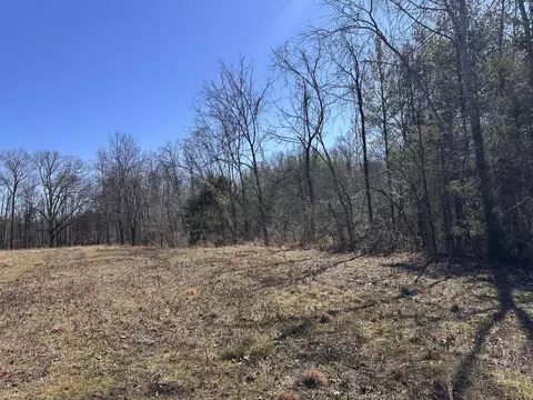 24 S 265 S Mohawk Rd, Midway, TN 37809 photo 36