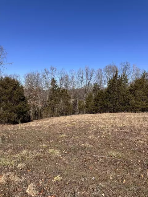 24 S 265 S Mohawk Rd, Midway, TN 37809 photo 38