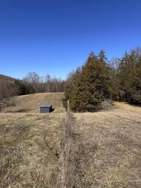 24 S 265 S Mohawk Rd, Midway, TN 37809 photo 31