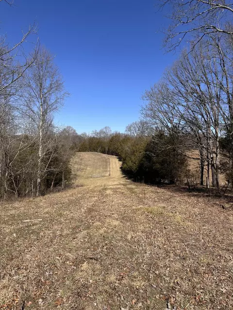 24 S 265 S Mohawk Rd, Midway, TN 37809 photo 33