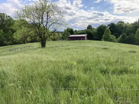 24 S 265 S Mohawk Rd, Midway, TN 37809 photo 10