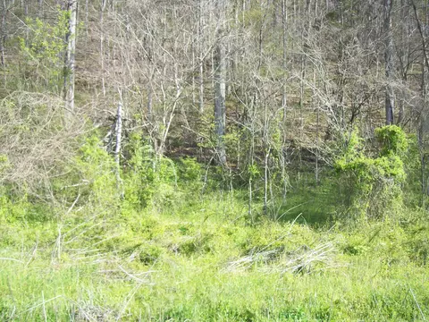 0 War Creek Rd, Sneedville, TN 37869