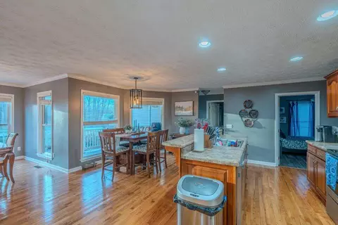 175 Paul Pettit Rd, Mohawk, TN 37810 photo 7