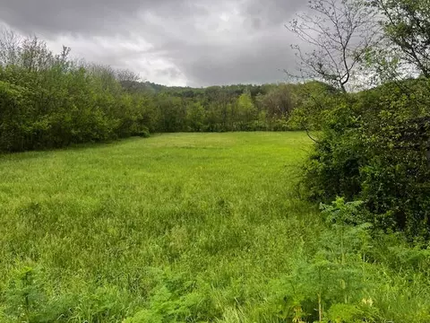 0 Fowler Grove Rd, Newport, TN 37821