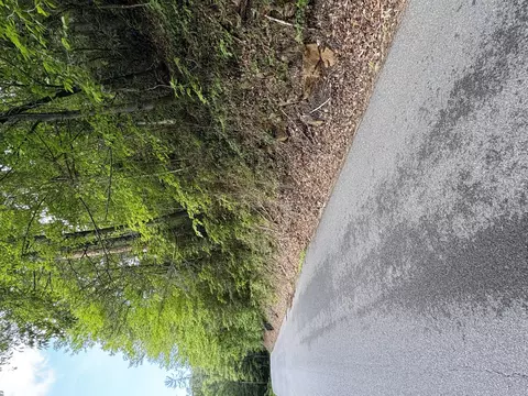 Tract 2b Waldens Creek Rd Road, Sevierville, TN 37862