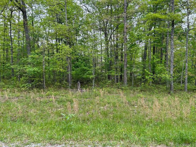 107 Calusa Ln, Crossville, TN 38572
