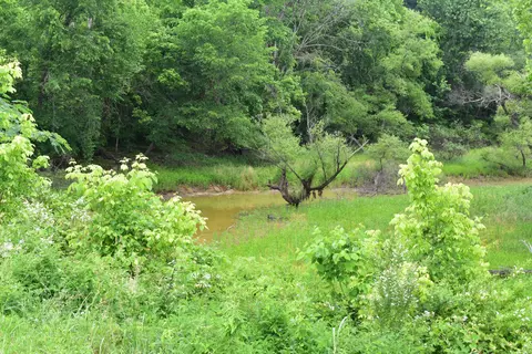3844 Highway 25, Bean Station, TN 37708 photo 42