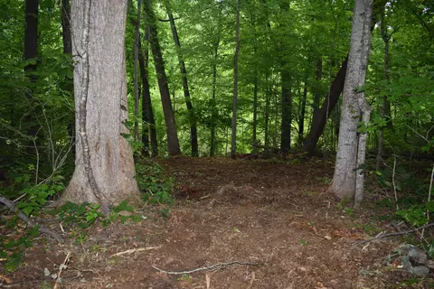 3844 Highway 25, Bean Station, TN 37708 photo 50