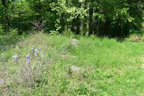 3844 Highway 25, Bean Station, TN 37708 photo 11