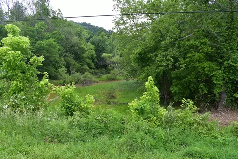 3844 Highway 25, Bean Station, TN 37708 photo 43