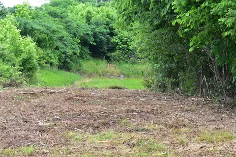 3844 Highway 25, Bean Station, TN 37708 photo 49