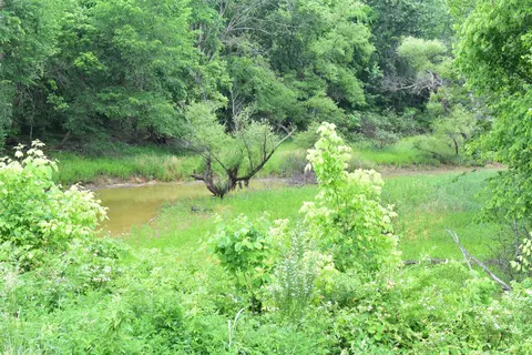 3844 Highway 25, Bean Station, TN 37708 photo 46