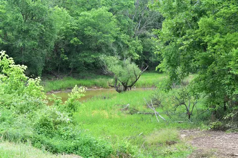 3844 Highway 25, Bean Station, TN 37708 photo 47
