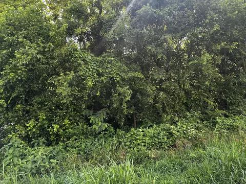349 Hyatt Ln, Whitesburg, TN 37891