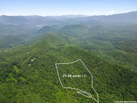 2266 Sol Mountain Rd, Del Rio, TN 37727