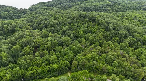 5 Lots Fortunato Dr, Baneberry, TN 37890