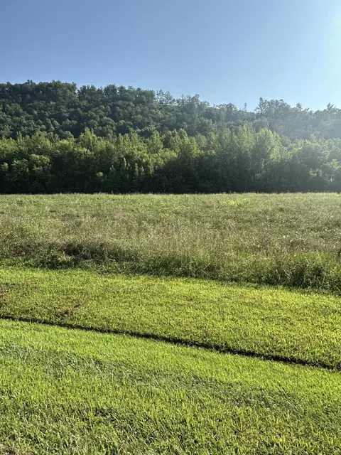 lot145 River Rapids Way, Del Rio, TN 37727