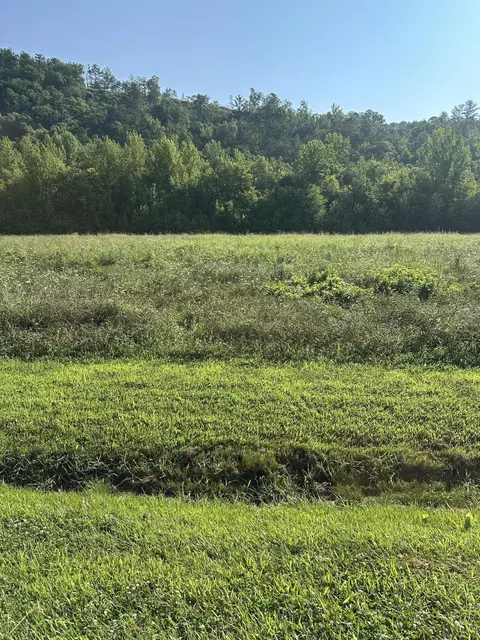 lot146 River Rapids Way, Del Rio, TN 37727