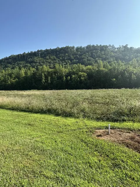 lot147 River Rapids Way, Del Rio, TN 37727