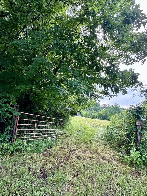 3647 Kenyon, Parrottsville, TN 37843