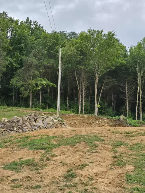 414 Kyle Valley Rd, Eidson, TN 37731 photo 5