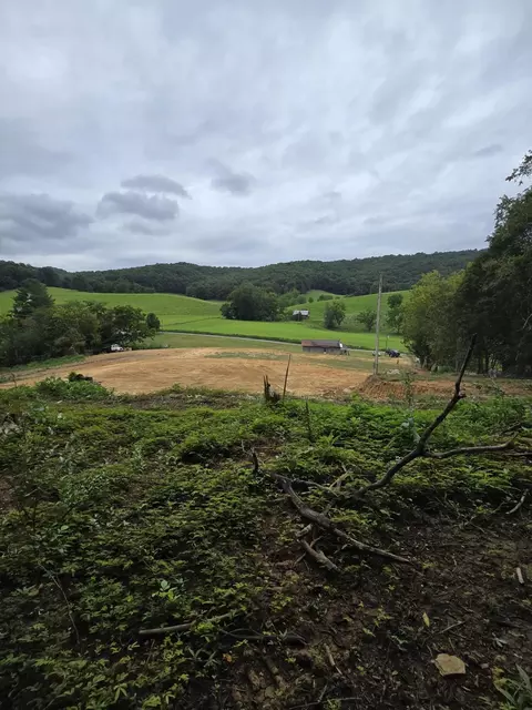 414 Kyle Valley Rd, Eidson, TN 37731 photo 10