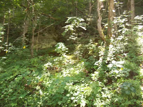 3388 Horton Ford Rd, Eidson, TN 37731 photo 8