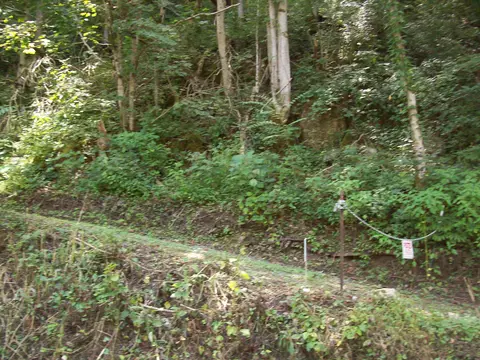 3388 Horton Ford Rd, Eidson, TN 37731 photo 7