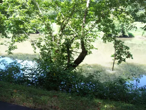 3388 Horton Ford Rd, Eidson, TN 37731 photo 5