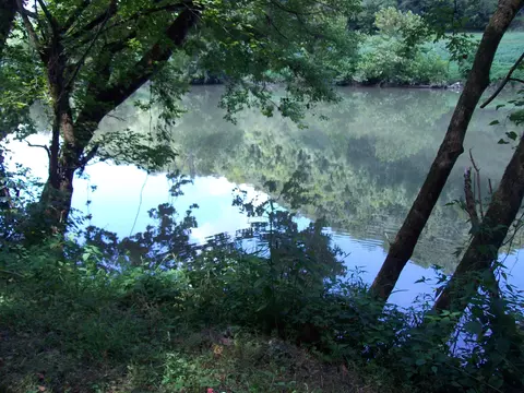 3388 Horton Ford Rd, Eidson, TN 37731