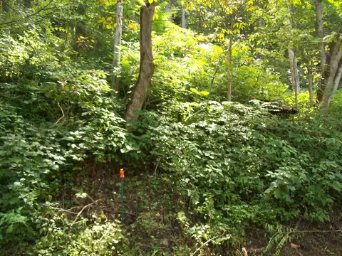 3388 Horton Ford Rd, Eidson, TN 37731 photo 11