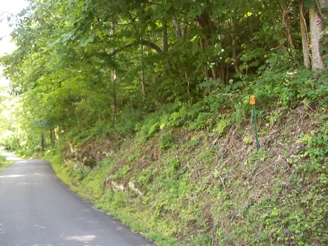 3388 Horton Ford Rd, Eidson, TN 37731 photo 2