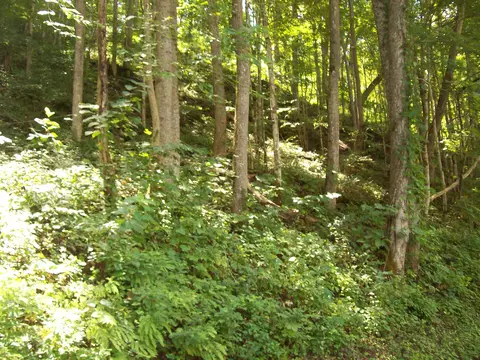 3388 Horton Ford Rd, Eidson, TN 37731 photo 10
