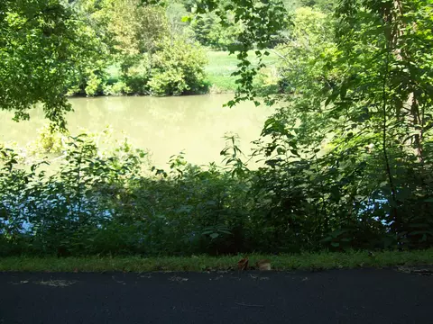 3388 Horton Ford Rd, Eidson, TN 37731 photo 3