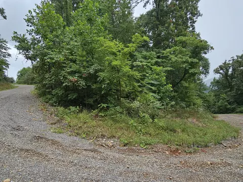 lot10 Ridge Walk Rd, Cosby, TN 37722