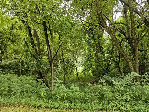 0000 High Country Way, Cosby, TN 37722