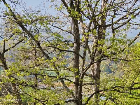 tbd Boatmans Mountain Rd, Morristown, TN 37814