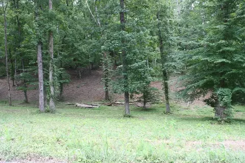 lot6 Cypress Dr, Dandridge, TN 37725