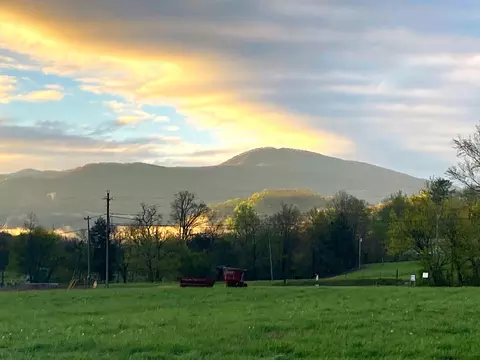 0 Catnip Rd, Del Rio, TN 37727