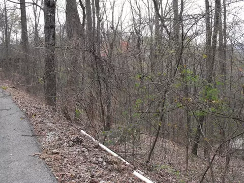 lot18 Parkside Village Dr, Sevierville, TN 37862