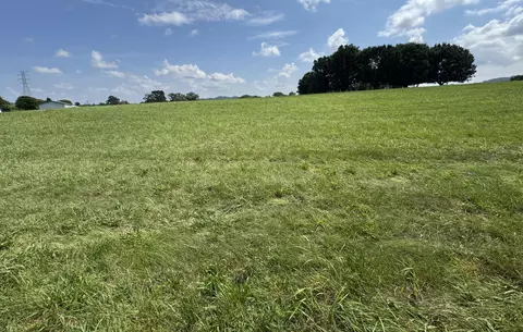 Other - 1065 Talbott-kansas Rd, Talbott, TN 37877 photo 17 of 23