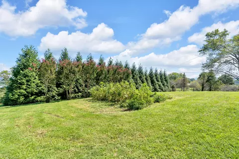 Exterior - 1607 Tater Hill Rd, Bean Station, TN 37708 photo 13 of 14
