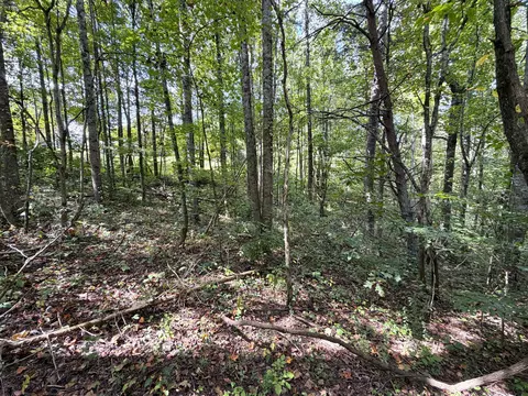 lot25 E Dr, Parrottsville, TN 37843