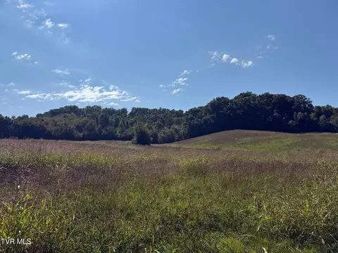 0 Old Snapps Ferry Rd, Chuckey, TN 37641 photo 5