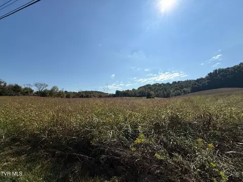 0 Old Snapps Ferry Rd, Chuckey, TN 37641 photo 11