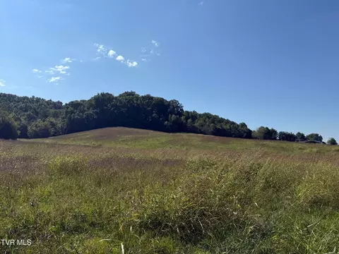 0 Old Snapps Ferry Rd, Chuckey, TN 37641 photo 6