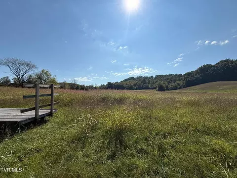 0 Old Snapps Ferry Rd, Chuckey, TN 37641 photo 8
