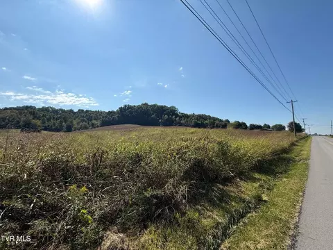 0 Old Snapps Ferry Rd, Chuckey, TN 37641 photo 12